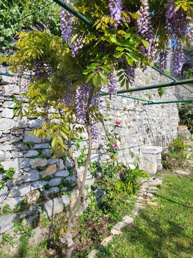 La Bouganvilla Πόρτο Βένερε Εξωτερικό φωτογραφία